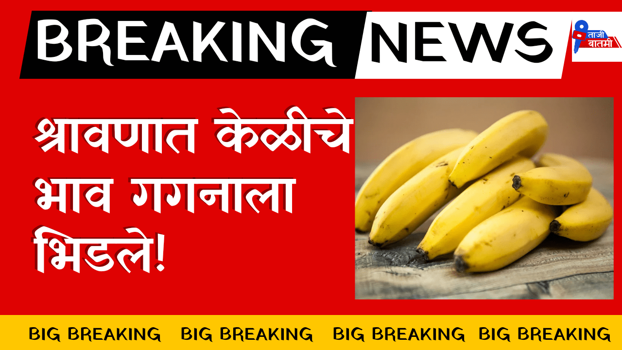 Banana prices skyrocketed during Shravan