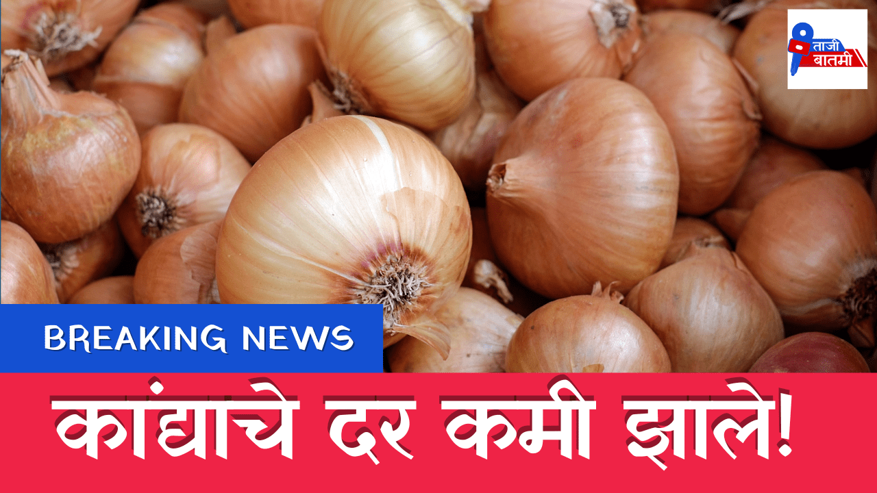 Onion prices decreased