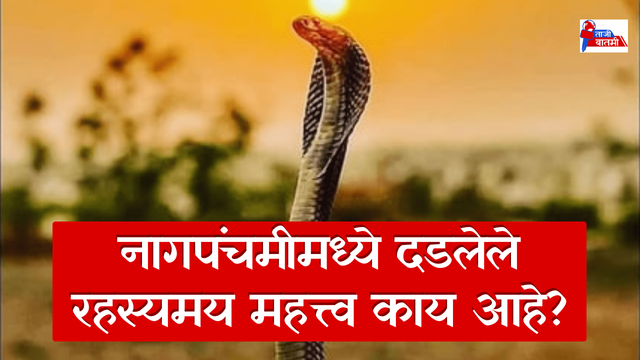 What is the secret hidden in Nagpanchami