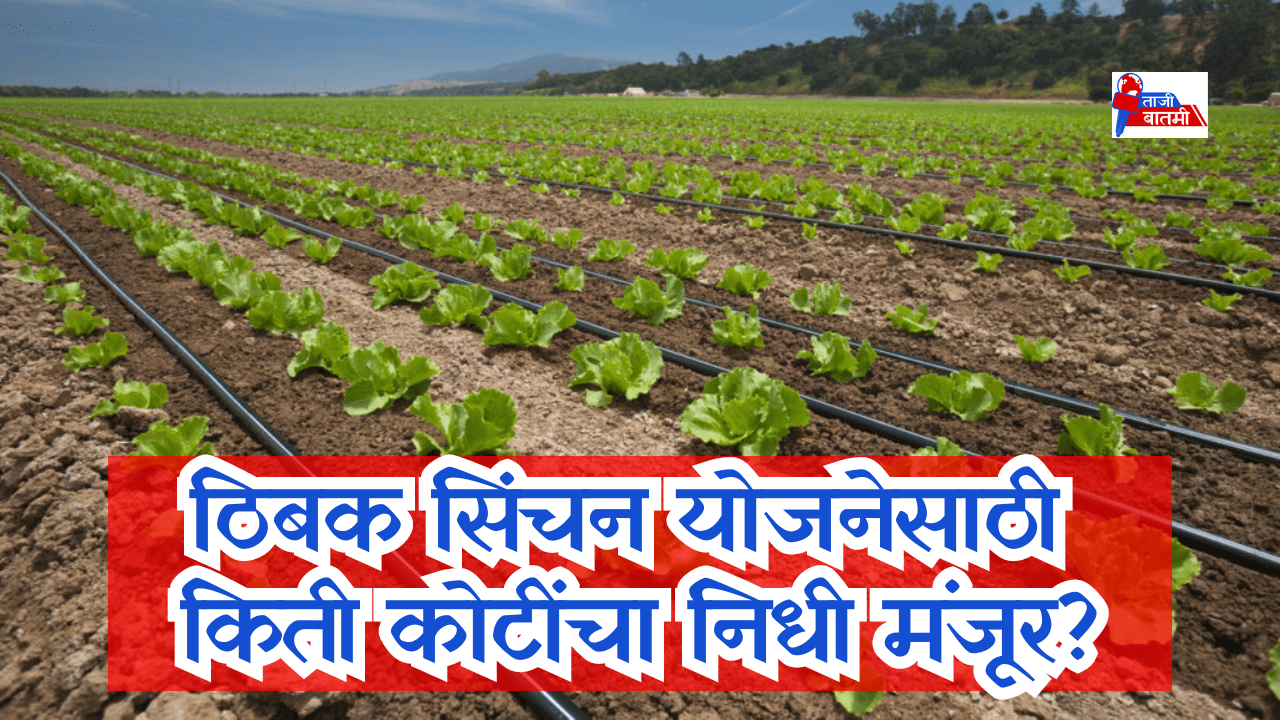 How many crores of funds approved for drip irrigation