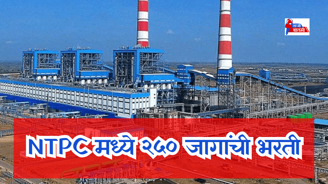 NTPC 250 job recruitment