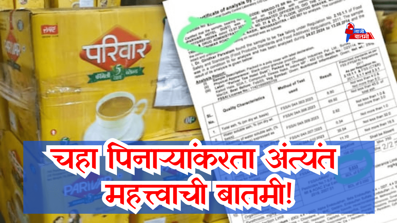 Sapat tea powder news